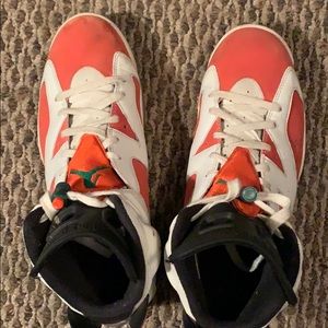 Jordan retro 6 Gatorade